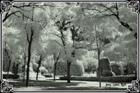 /album/fotogaleria-fotografia-infraroig/f-8-inpixio-640x480-jpg/